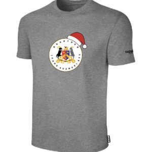 PRE-ORDER BPA Logo Christmas T-shirt